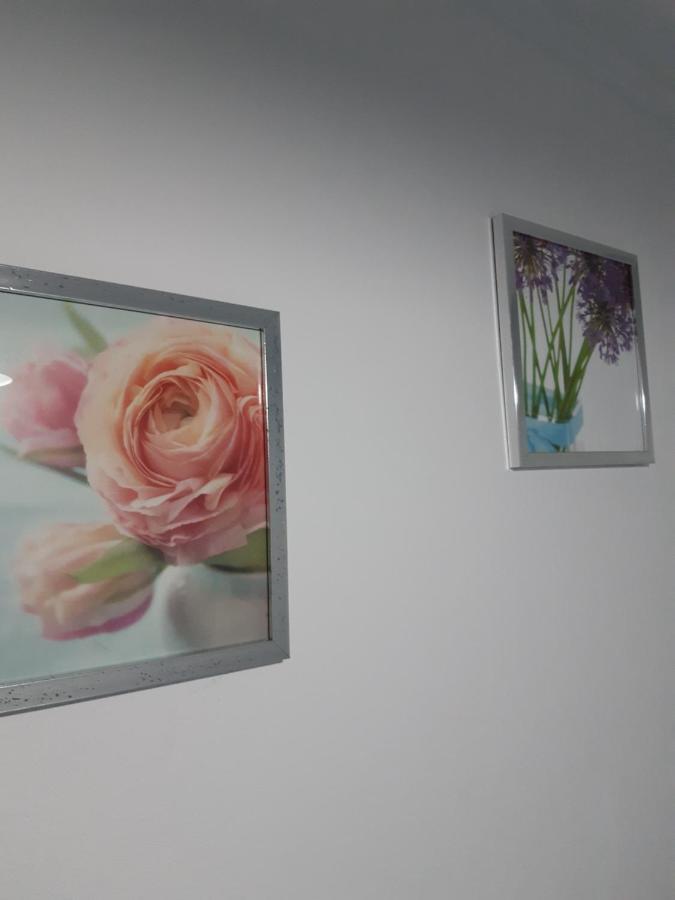 Apartamento Piquinho Machico  Dış mekan fotoğraf