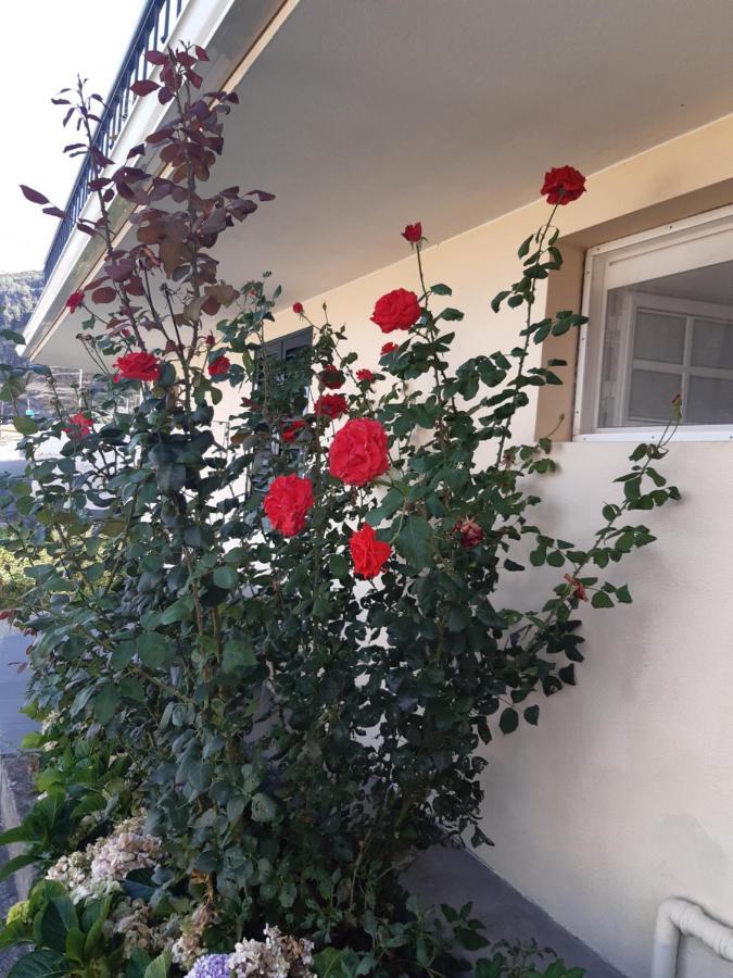 Apartamento Piquinho Machico  Dış mekan fotoğraf